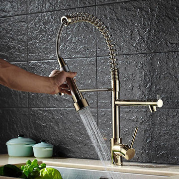 Brewst Luxury Single Hole Pull Out Sprayer Double Spout Kitchen Faucet Solid Brass